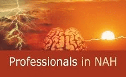 Professionals in NAH