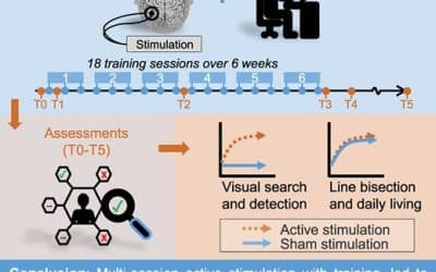 Alpha tACS en training bij chronische neglect